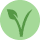Icon vegan